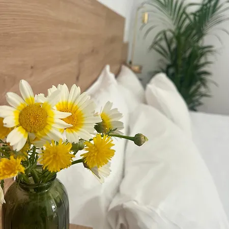 Loft La Gitanilla Διαμέρισμα Κόρδοβα