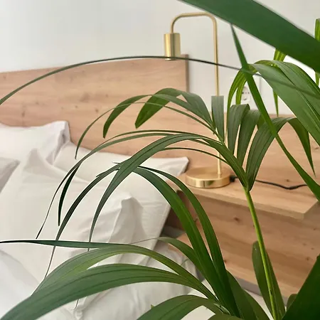 Loft La Gitanilla Appartamento *